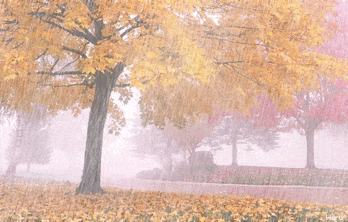 一场秋雨一场寒.