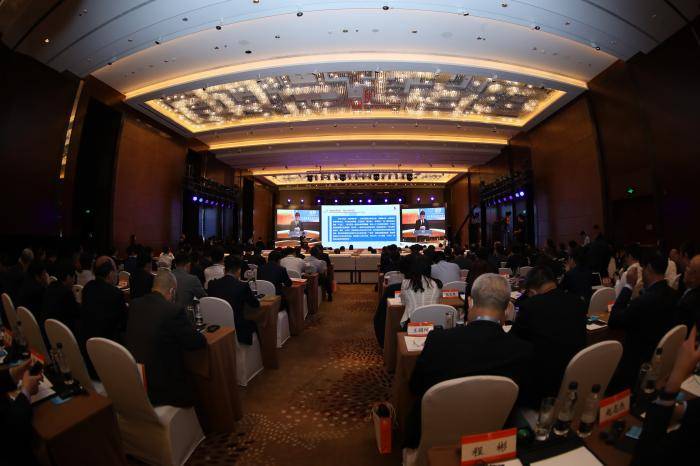 鲁政委|金价高歌猛进，黄金企业赚了吗？