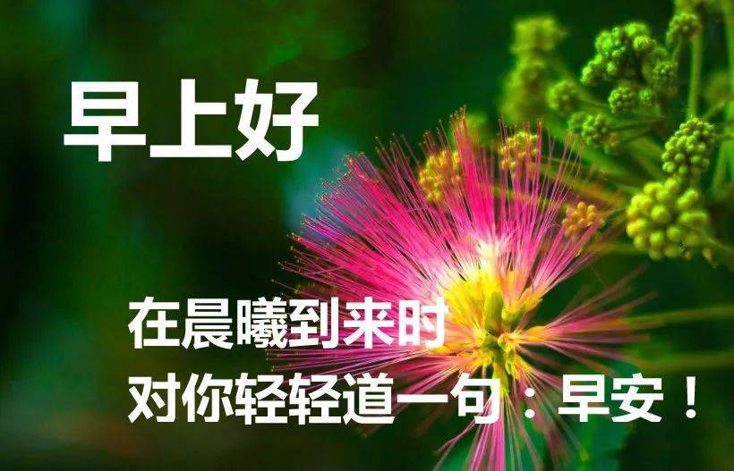 早上问候语及关心话 清晨早安祝福短信大全