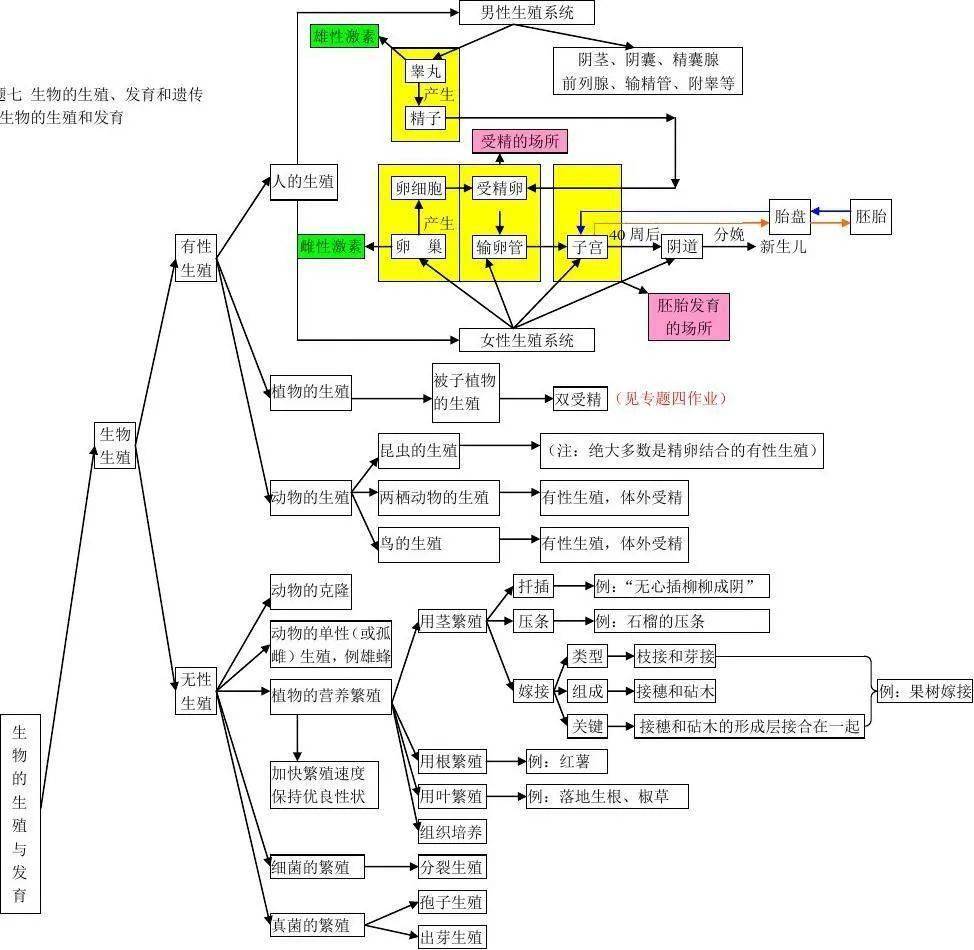 初中生物知识点框架思维导图,基础知识简洁明了,收藏!