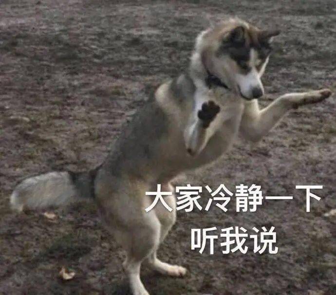 生姜|自用真爱高光