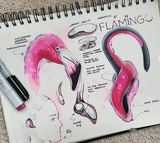 ‘ky.com’
仿生造型设计仅仅是对自然生物的简朴模拟吗？「手绘530Day」(图13)