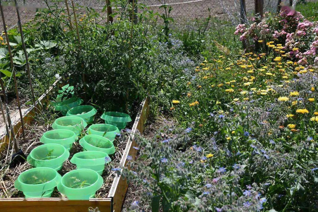 环境|不讲究吃，待客“寒碜”……瑞士人为何如此富而不“造”