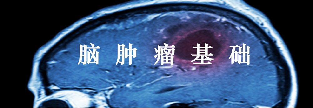 脑肿瘤基础 | 血脑屏障,强化,水肿