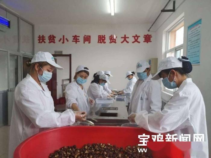 就业|宝鸡太白：就业扶贫出实招 “八个一批”助脱贫