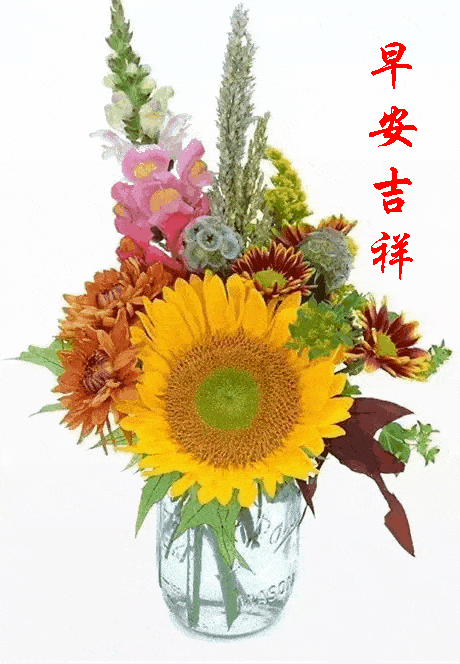 20206196125星期五《早安30心语》∮_祝福