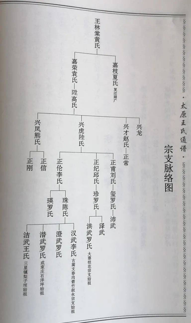 古蔺大村王家场,彰德杨家塆王氏家族简介