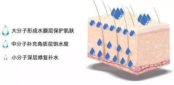 皮肤|刷酸=换脸？这个明星们超爱的百元刷酸好物搞定你的痘痘、闭口、黑头毛孔粗大还不怕烂脸！