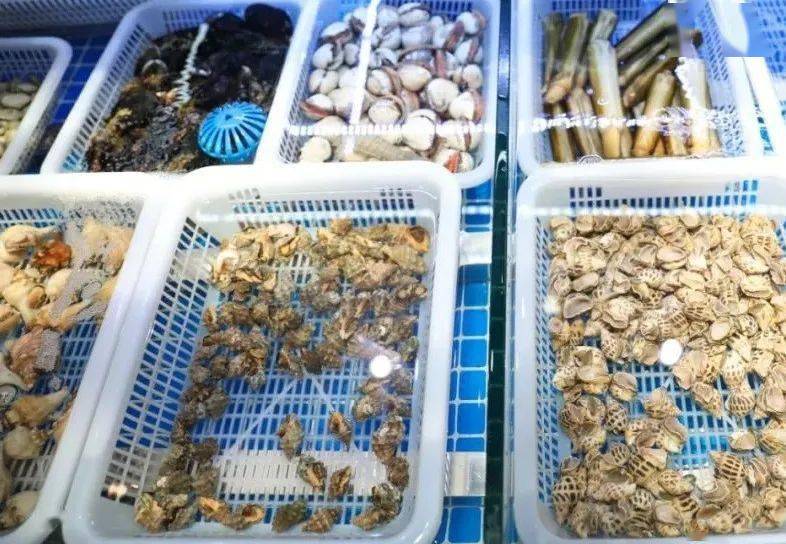 梭子蟹的营养价值介绍 6fb7c154034440e99dd9ed445f7181ae.jpeg