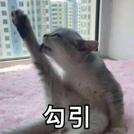 犯规|测评｜这些面膜竟然被1004点名了了？一片抵十片！好用到犯规！