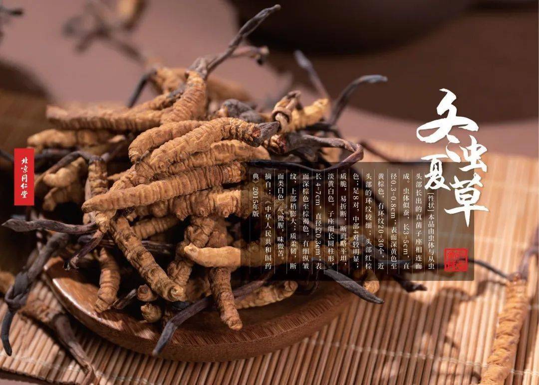 宝山同仁堂虫草人参燕窝海参中秋礼盒介绍