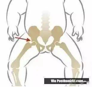 孩子|穿纸尿裤会导致O型腿？婴儿的O型腿是一种自我保护？