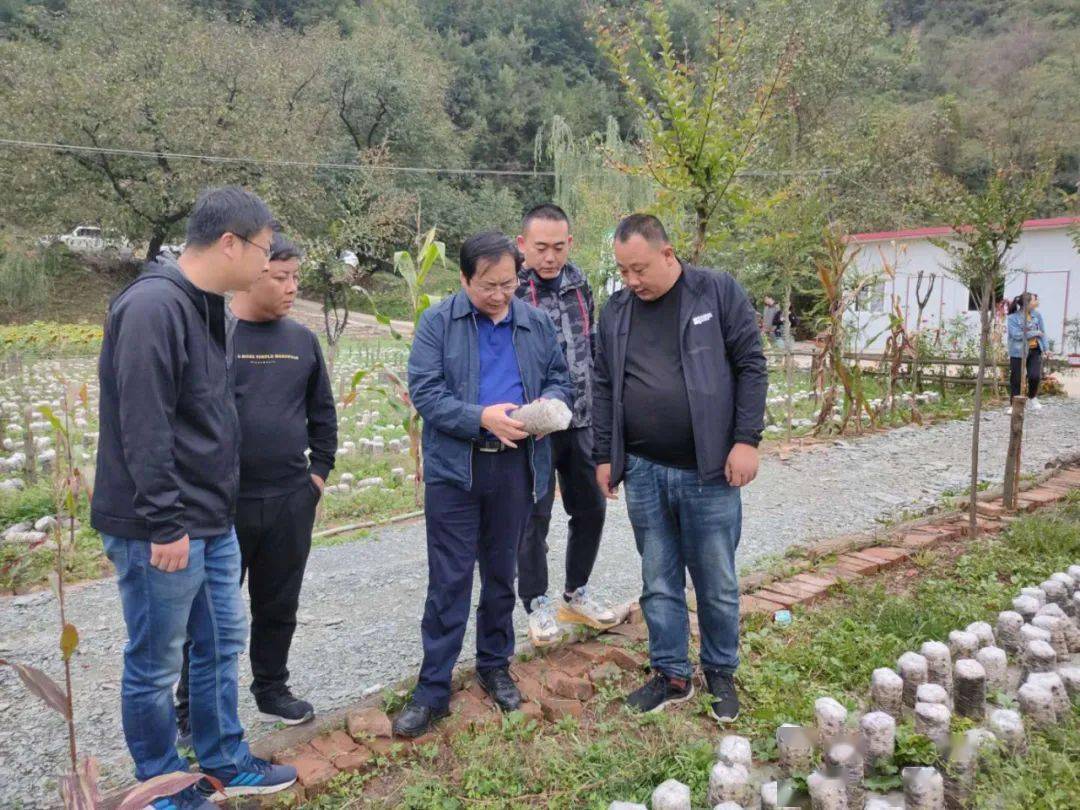 【徽县高桥动态】徽县国土空间总体规划调研组到高桥镇开展国土空间