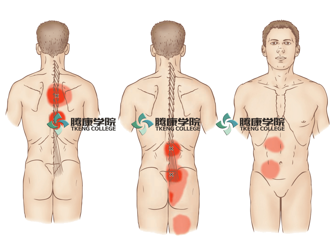 面和肌打一成语是什么_这是什么成语看图(3)