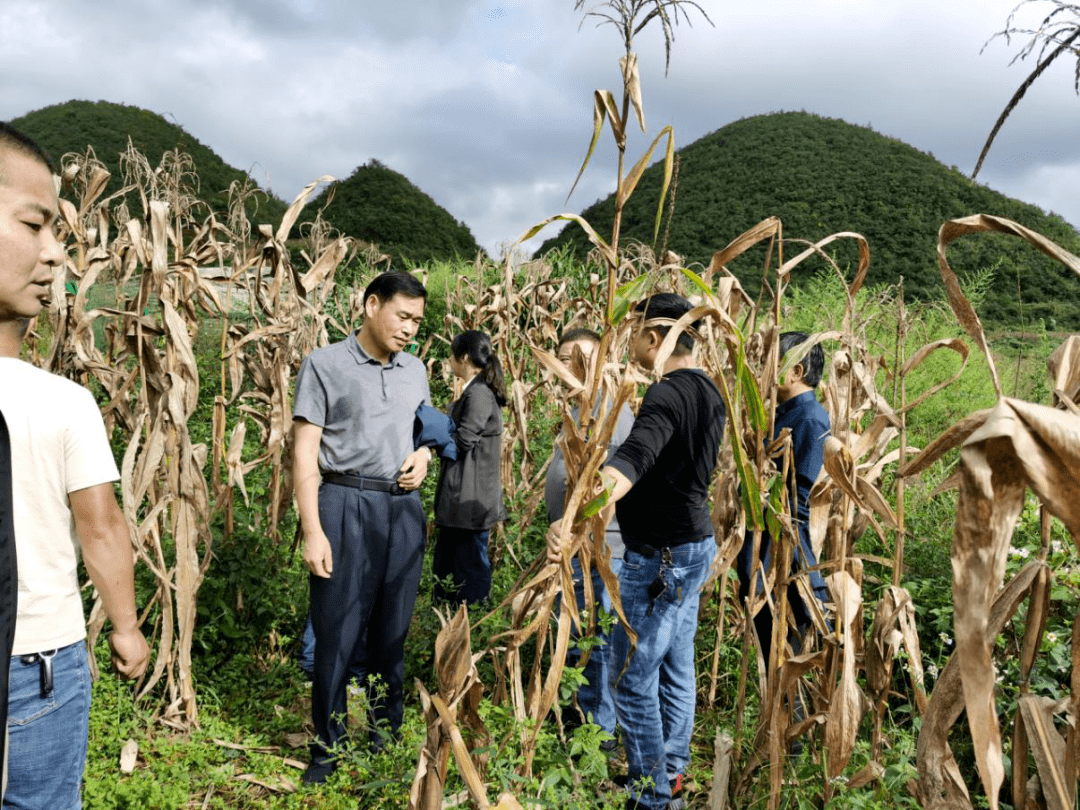 省生态环境厅王英贤率队督导安顺市9月份污染防治攻坚战任务