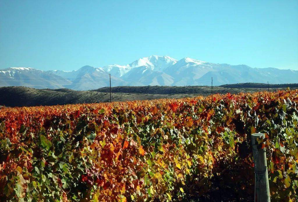 酒庄|旅途中总有好胃口带上一支红酒