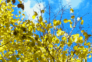 啥时候是秋天 314bf8da7bd44b56b830d2b83cbfc228.gif