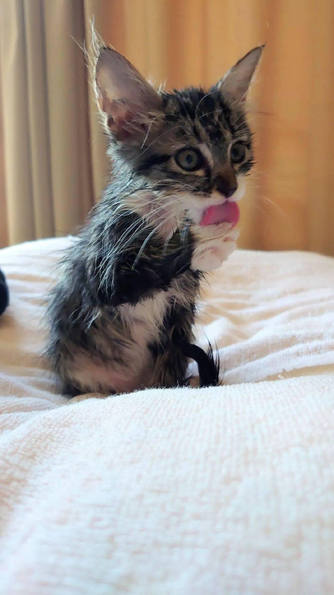 美的gdp贡献_美的logo