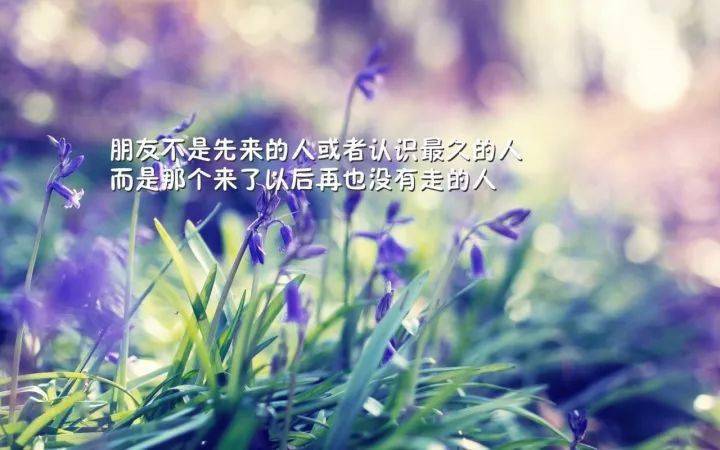 54d594aedfe043528fe6443d34a32b4d.jpeg