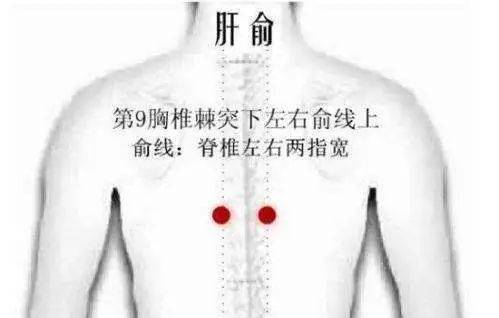 刷酸教程背部 8c04ca6dcf5b4dacb7548c44b952d9b8.jpeg