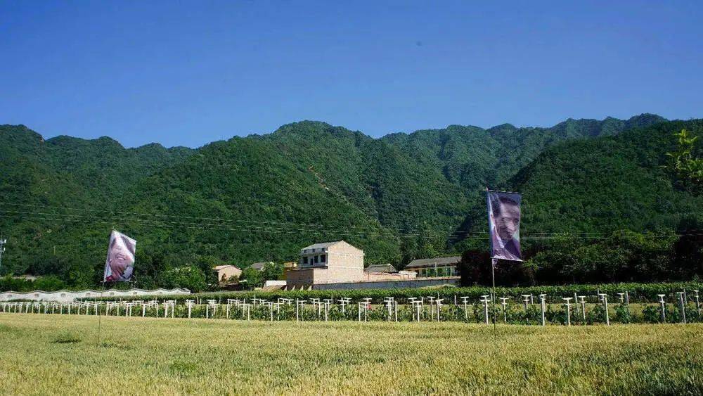 蔡家坡有多少人口_蔡家坡三国小镇图片(3)