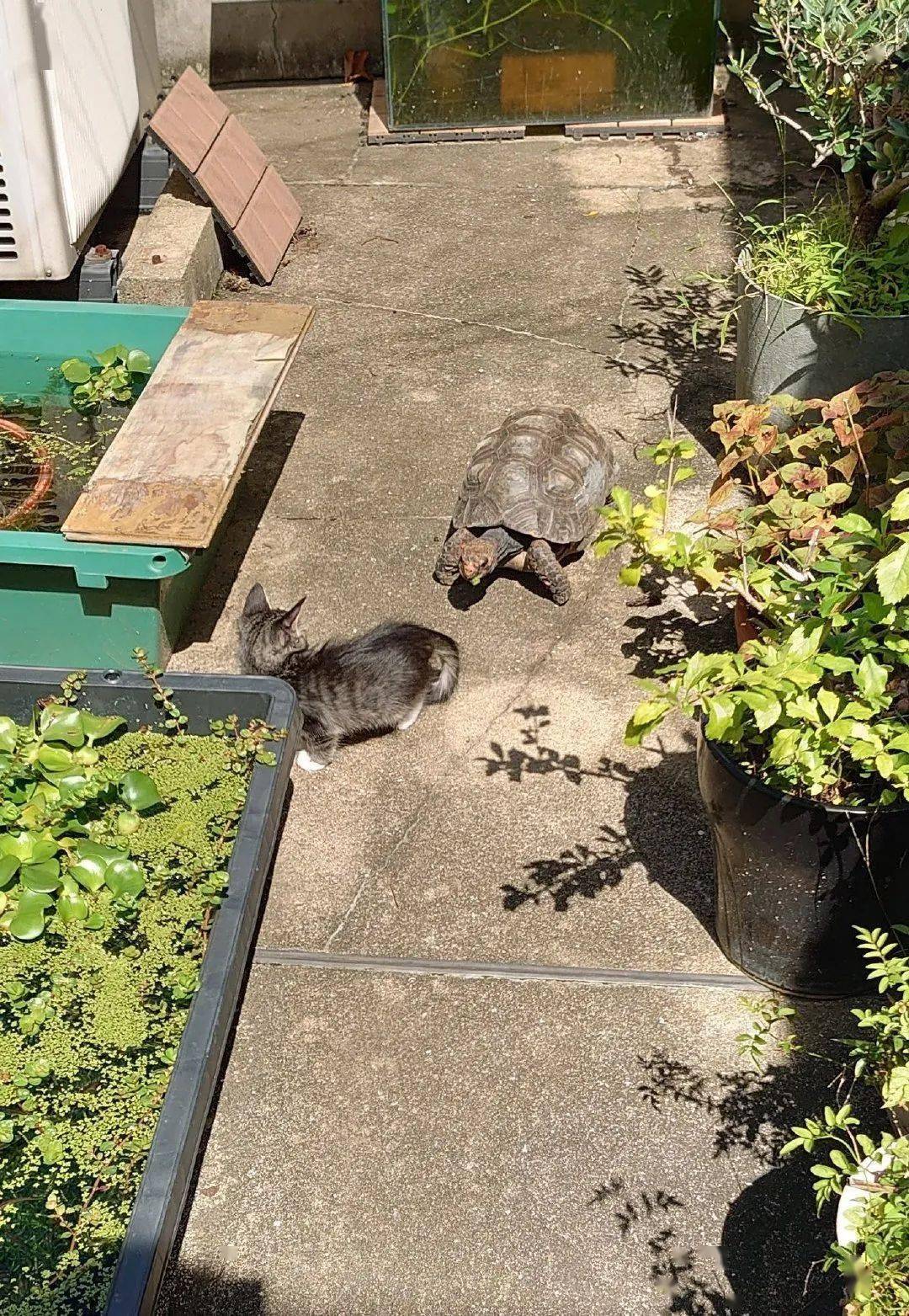 美的gdp贡献_美的logo