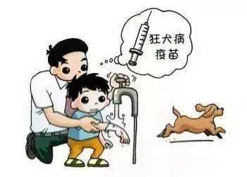 被打了狂犬疫苗的狗咬伤怎么办