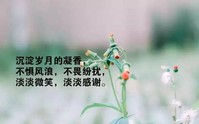 aaec3d52e73943069d61c397e693622a.jpeg