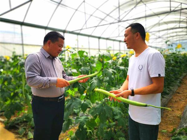 市场|铜仁万山大坪乡：销售专班跑市场 特色产业稳销路