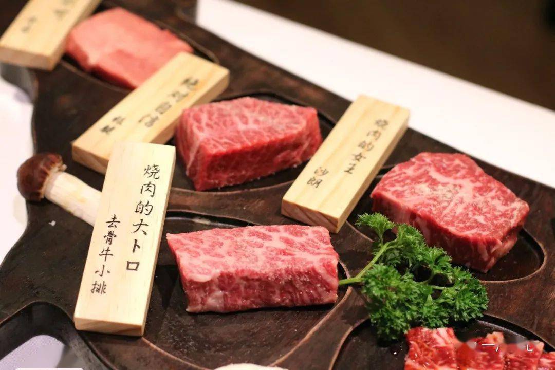 设拉子|这世上没有什么是一顿烧烤不能解决的……