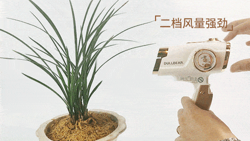吹风机|这款高颜值电吹被疯狂种草，连戴森都要自叹不如！