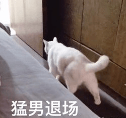 护肤品|网传日版神仙水最好,国内版最差?护肤品版本“鄙视链”真实存在吗?