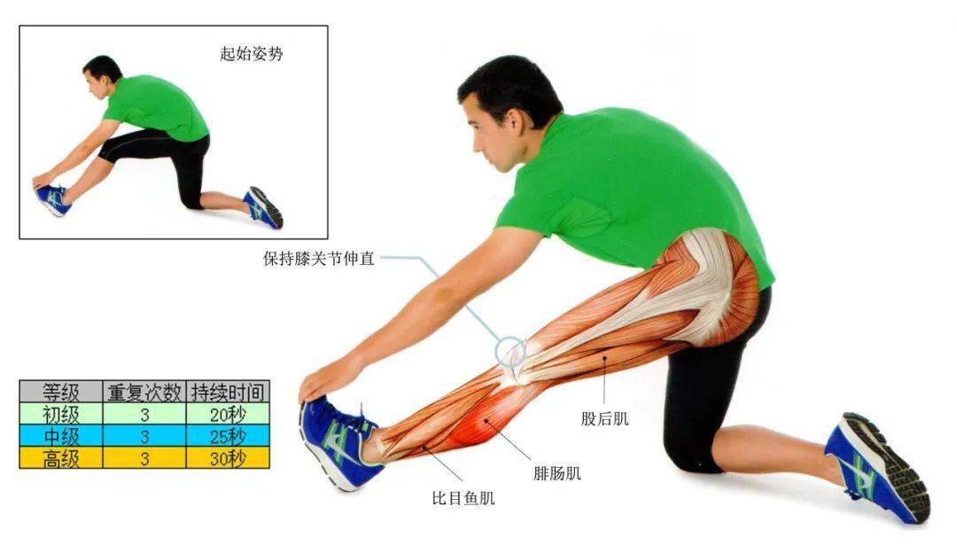 静态拉伸61下肢伸展三
