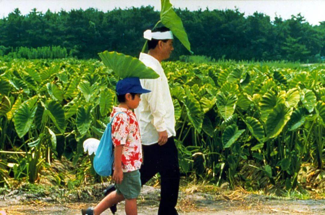 让宫崎骏和北野武"吃醋",秘密都藏在《菊次郎的夏天》里_手机搜狐网