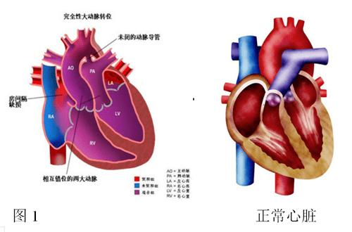 8c0056bdc89b41ac9e5fe1cd3445f7f1.png