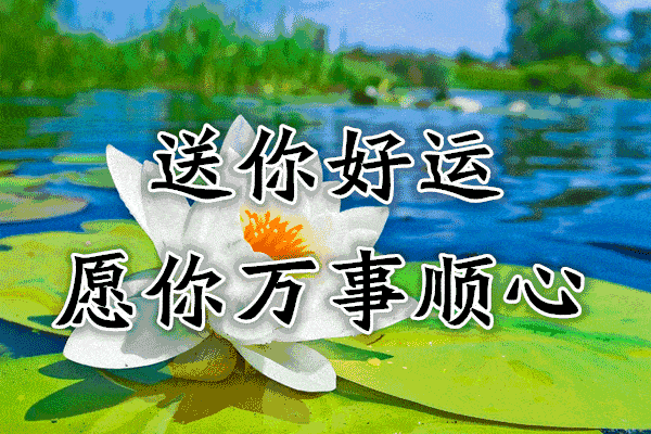 中秋节,国庆节到了!致给我的朋友圈,愿你平平安安,一生好运!