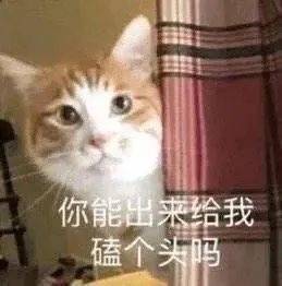 b9ed57a08457453ab98e8b04d5c0c1be.jpeg