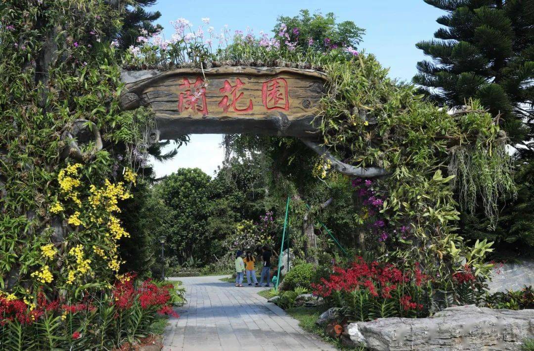 东莞植物园三个未开放的专类园区  兰花园,岩石园,马中友谊园 植物园