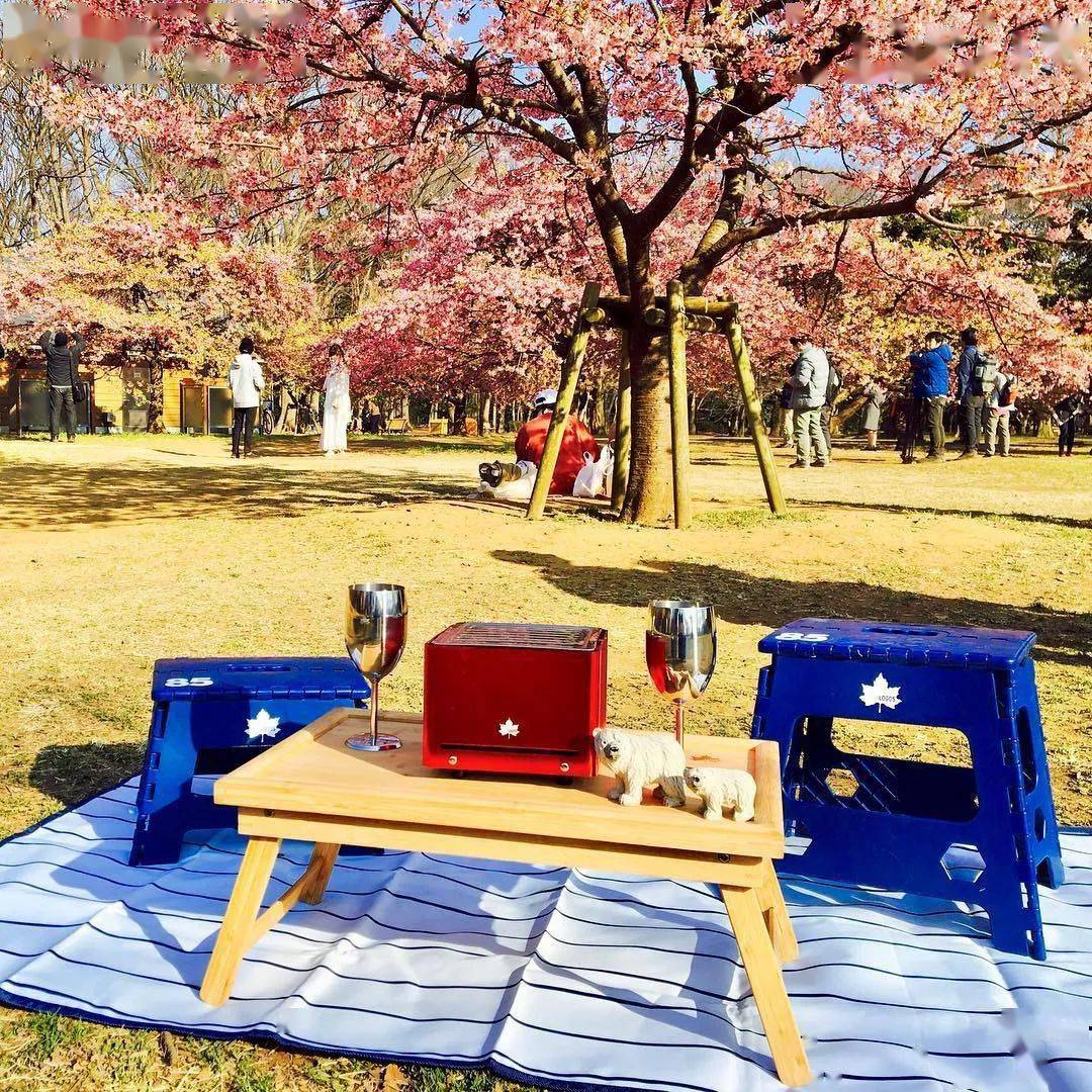 Wagon|露营／居家／办公幸福感加分好物——万能的“车”