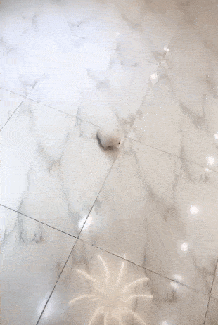 310_462 竖版 竖屏