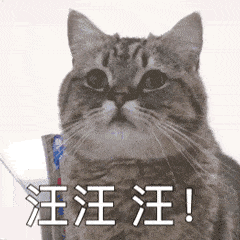 4c5e664b6d8c4696bc0c276904544834.gif