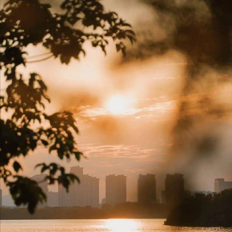 头像背景 丨如花美眷 似水流年