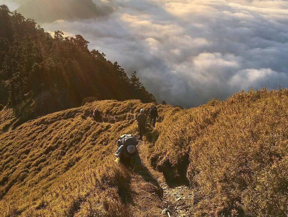 Wagon|露营／居家／办公幸福感加分好物——万能的“车”