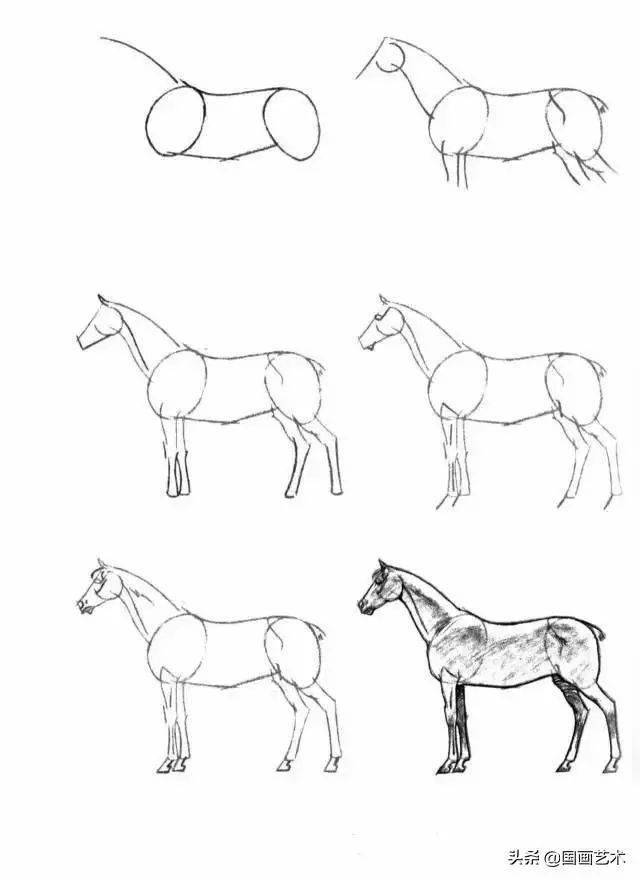 教你40种马的结构画法,简单易学