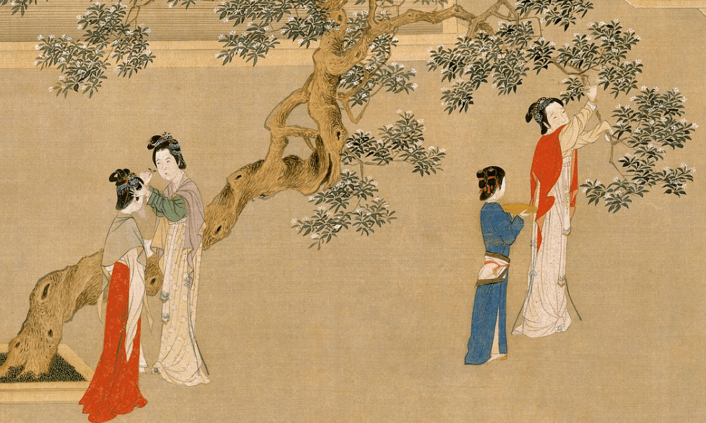 女孩|96位精致女孩的“肥宅”生活