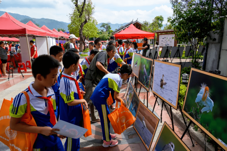 福建省泉州护飞队开展多种形式的科普宣传活动_手机搜狐网