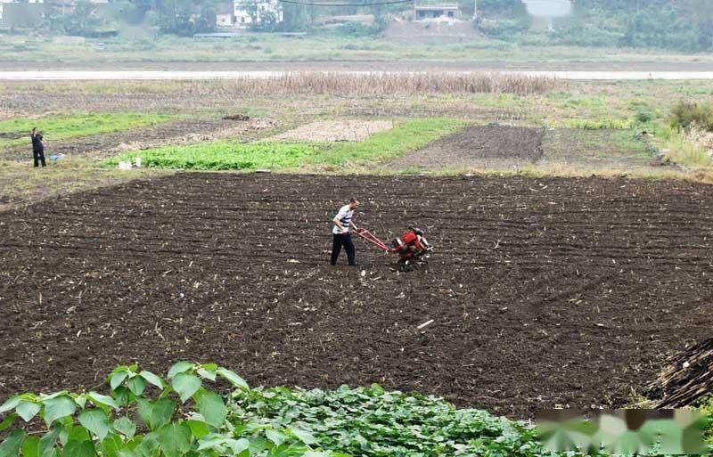 十堰市郧阳区2020年G_十堰市郧阳区实验中学