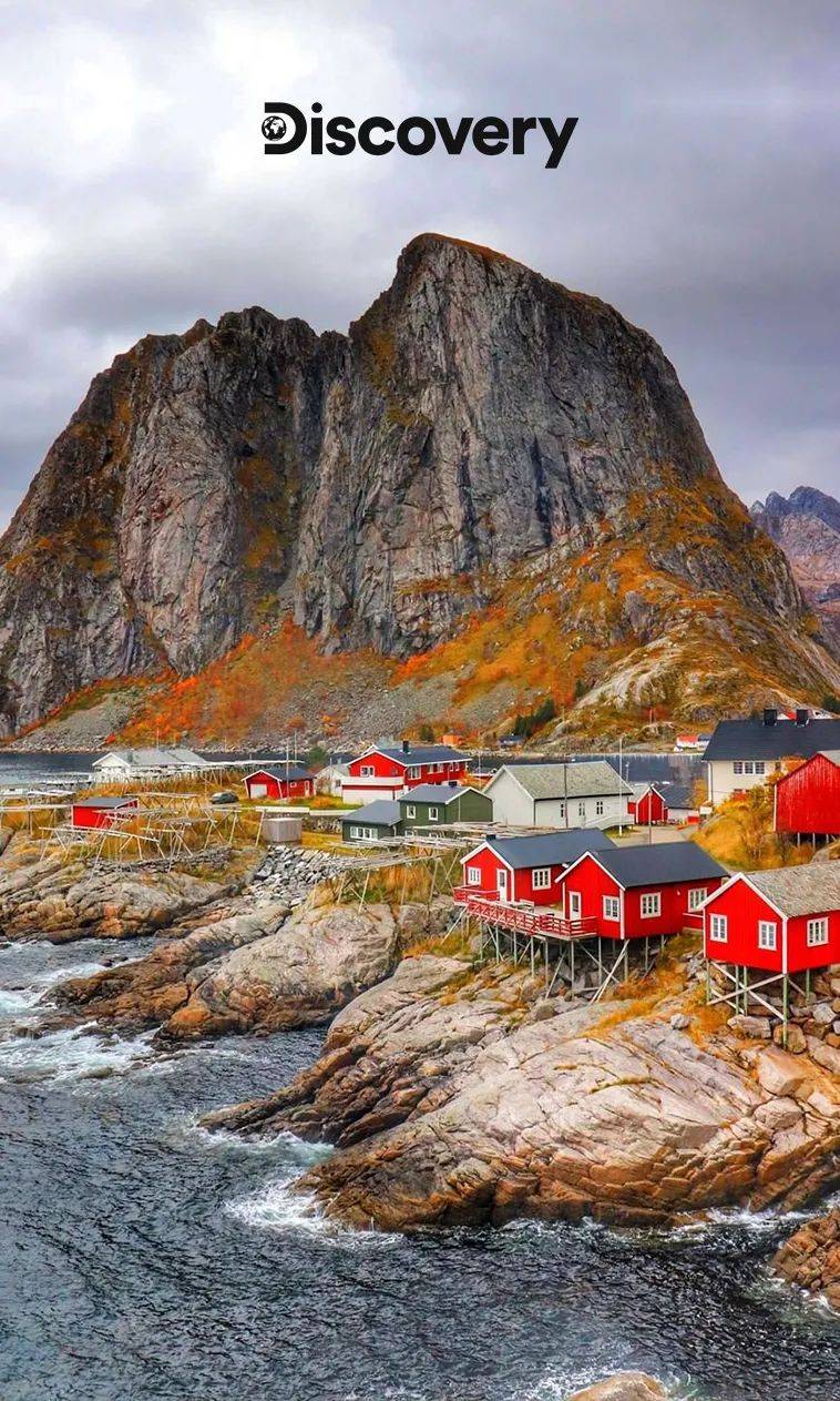 壁纸|请收下秋天的第一波美图