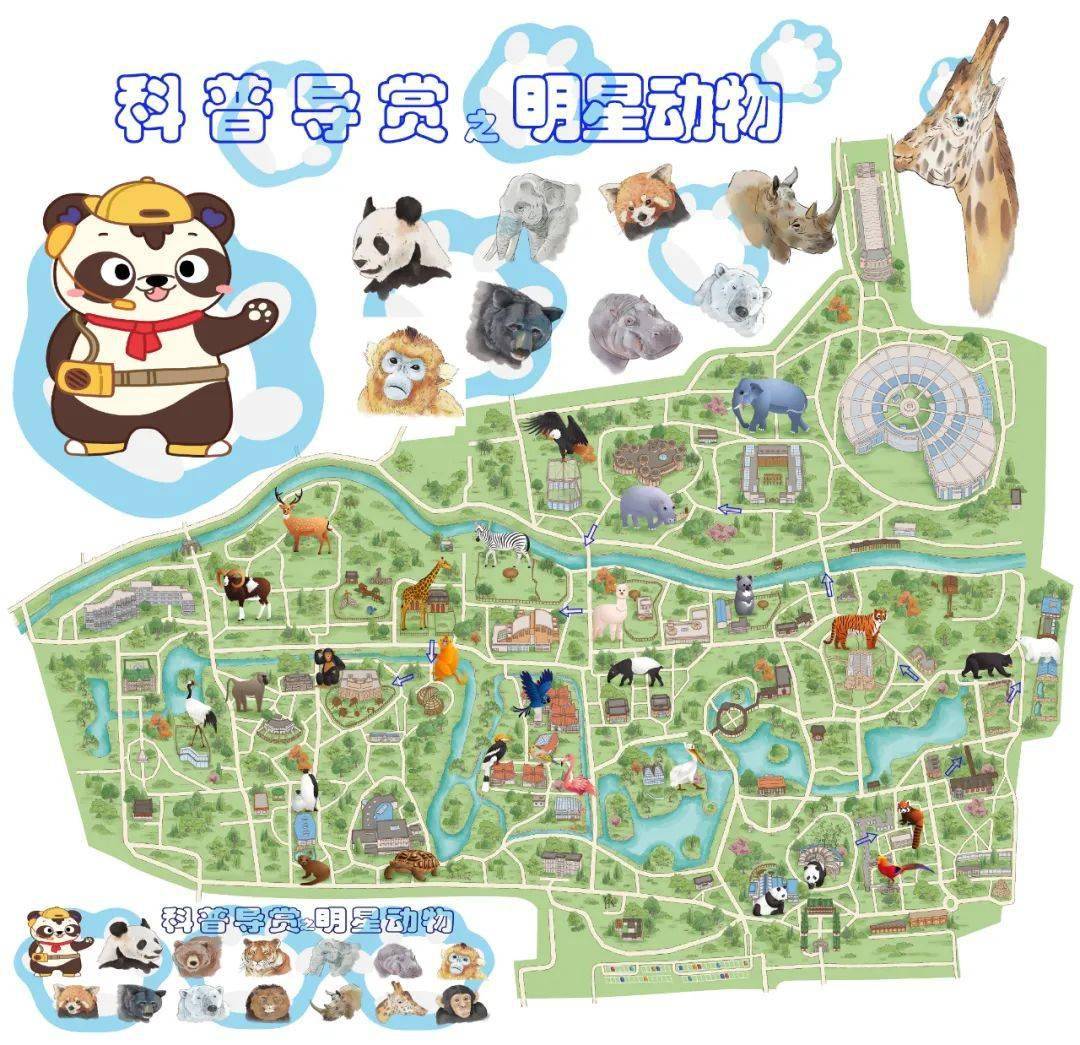 「有奖答题」世界动物日带你智游北京动物园