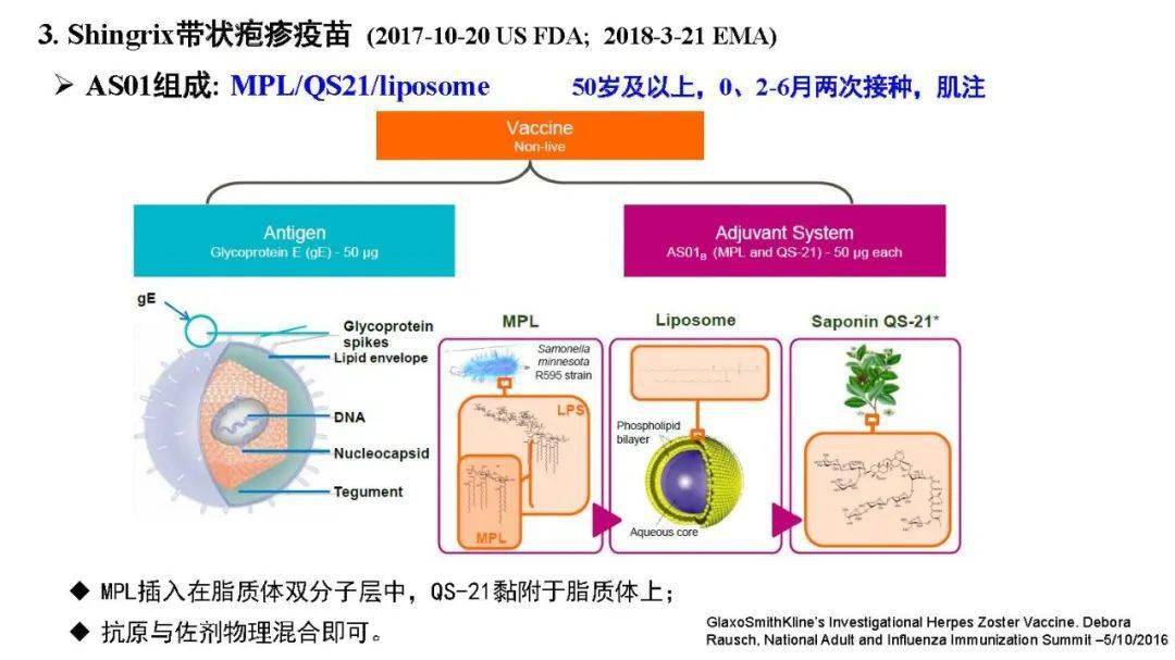 打预防针疫苗是什么原理_打新冠疫苗预防针卡通(2)